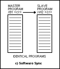 [Software Synchronization]